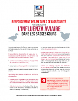 Flyer basses cours
